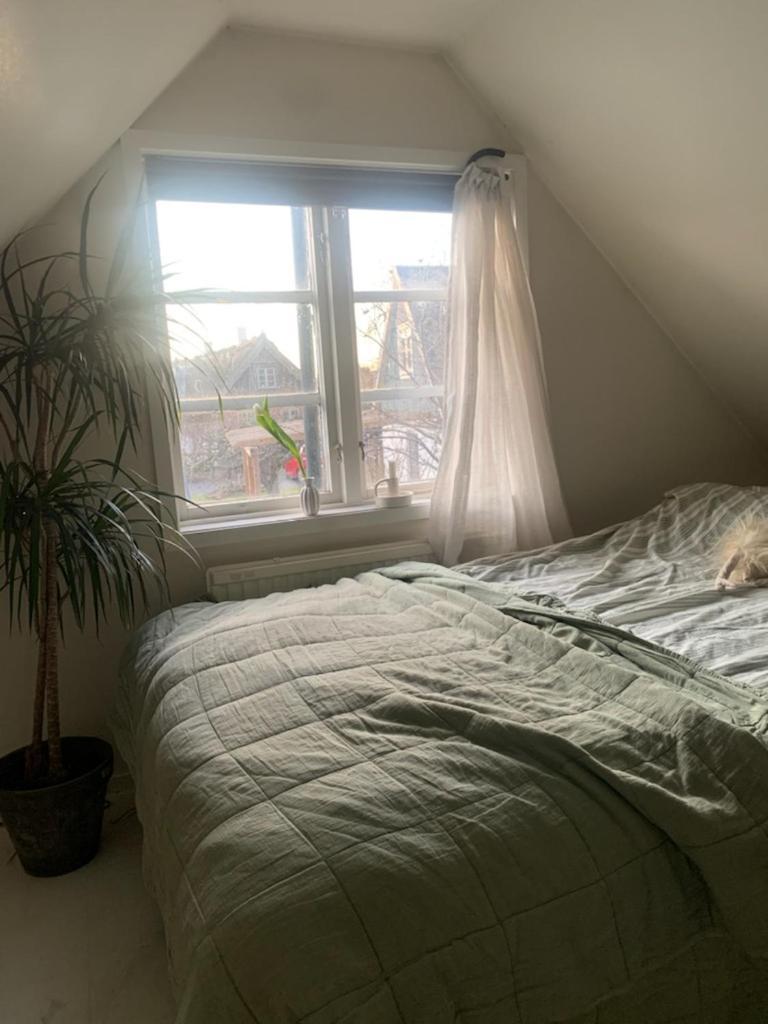 Millans Dockhus Villa Onslunda Bagian luar foto