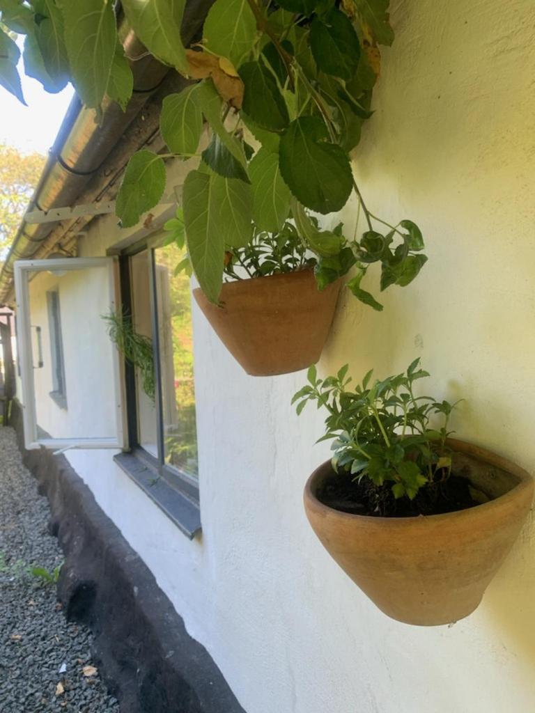 Millans Dockhus Villa Onslunda Bagian luar foto