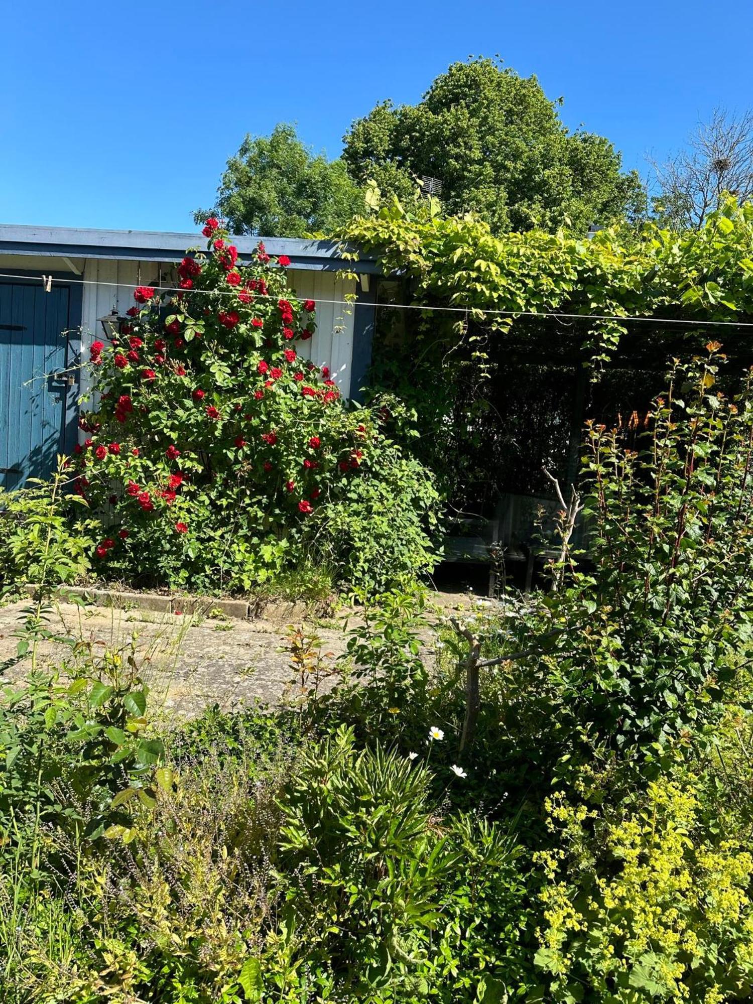 Millans Dockhus Villa Onslunda Bagian luar foto